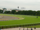 5/29東京1角