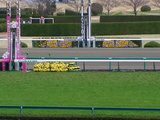 3/28阪神ゴール前