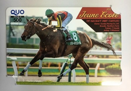 �ץ쥼���_���塼�̥�������