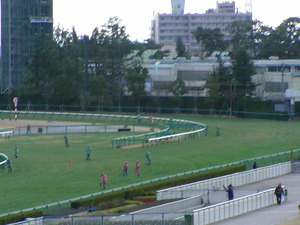 12/25阪神4角