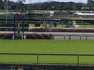 Ãæ»³¥´¡¼¥ëÁ°