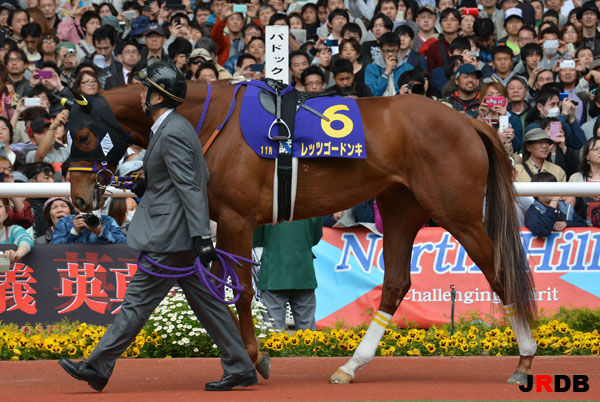 血統 馬体講座 レッツゴードンキ 桜花賞 競馬を100倍楽しむ方法 Jrdb ブログ