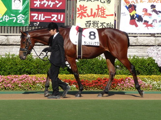 ラヴェルソナタ-新馬戦パドック