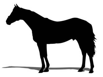 ���롼����󥵡�-���륨�å�