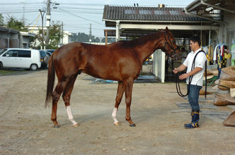 ���ɥޥ��䥸��ѥ�