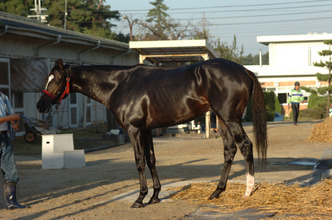 �ϡ��ĥ��饤