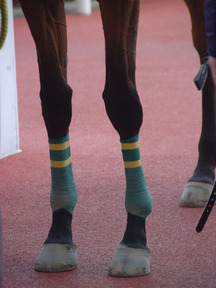 ¥µ¥È¥Î¥Æ¥£¥¢¥é-µÓ