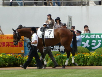 �����᡼��-������ѥɥå�