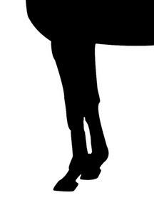 ¥Õ¥§¥¢¥ê¡¼¥¥ó¥°-µÓ