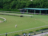 5/29京都4角