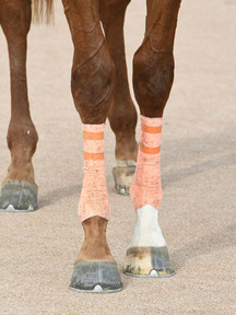 191124-5¥ì¥Ã¥É¥Õ¥é¥ô¥£¥¢µÓ