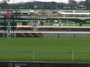 �滳��������