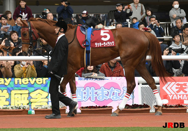 血統 馬体講座 ラッキーライラック チューリップ賞 競馬を100倍楽しむ方法 Jrdb ブログ