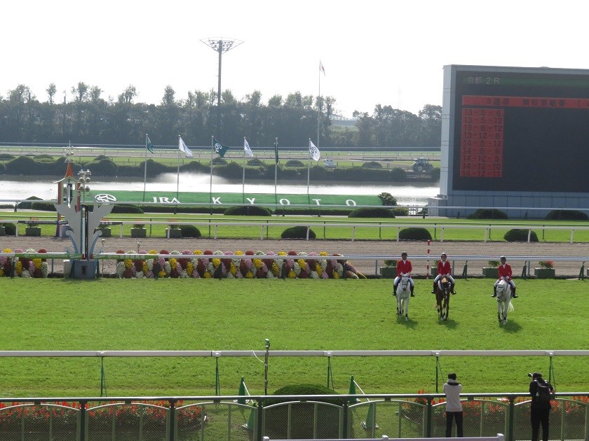 本日の馬場情報 10 27 競馬 Jrdb を100倍楽しむ方法