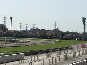 Ãæ»³£´¥³¡¼¥Ê¡¼