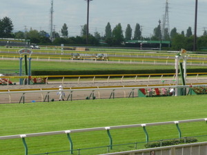 新潟
