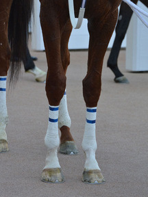 150426-9����饤�����󥹵�