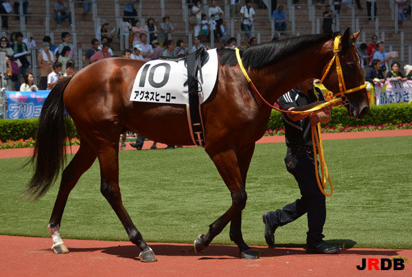 血統 馬体講座 アグネスヒーロー 競馬を100倍楽しむ方法 Jrdb ブログ