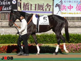 �ѡ��ե����ȥ�����