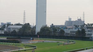 阪神4コーナー