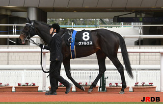 200314-9¥ô¥¡¥ë¥³¥¹