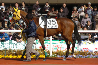 ¥µ¥È¥Î¥Æ¥£¥¢¥é-¿·ÇÏÀï¥Ñ¥É¥Ã¥¯