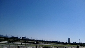 阪神4コーナー