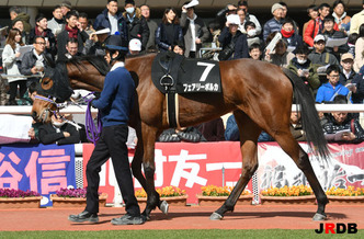 190323-9�ե����꡼�ݥ륫