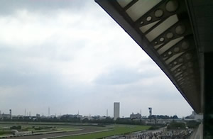 WIN_20160626_09_49_33_Pro
