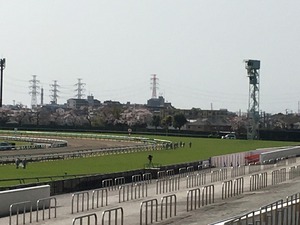 Ãæ»³£´¥³¡¼¥Ê¡¼