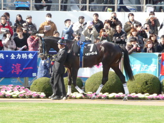 �٥륷�㥶����-�ۡ��ץե�ӥѥɥå�