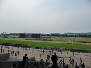 P1150459