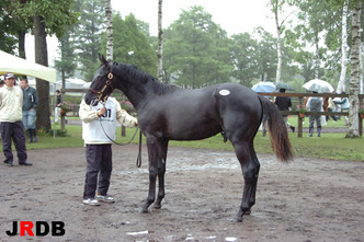 �ߥ�ɥ꡼��-���쥯�ȥ�����