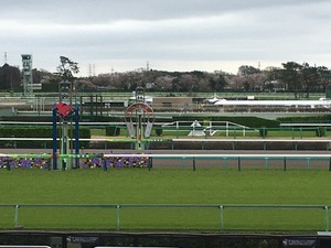 Ãæ»³¥´¡¼¥ëÁ°