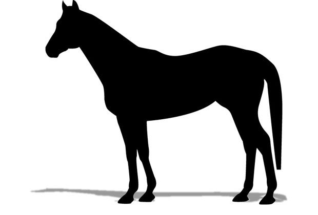 血統 馬体講座 ケツァルテナンゴ 競馬を100倍楽しむ方法 Jrdb ブログ