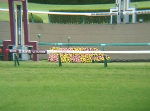 阪神6/28