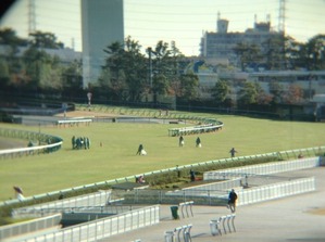 11/30阪神4角
