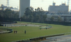 image (3)