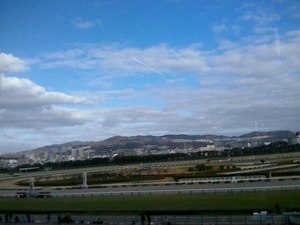 阪神ゴール