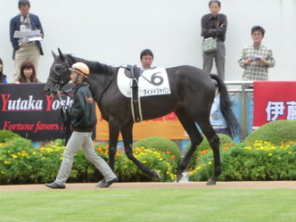 �����ᥤ����ѥ�-������ѥɥå�