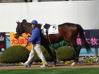 ¥í¥¤¥ä¥ë¥Ñ¡¼¥×¥ë-¿·ÇÏÀï¥Ñ¥É¥Ã¥¯