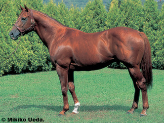 �إ������ץ��ƥ�����