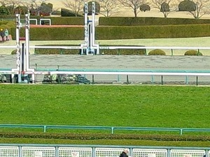2/24阪神ゴール前
