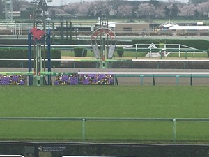 Ãæ»³¥´¡¼¥ëÁ°