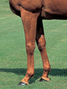 ���饹������-��