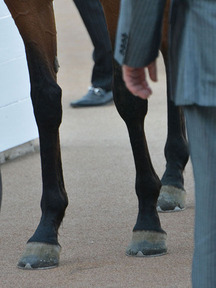 150425-10�ޥƥ�����ϥԥͥ���