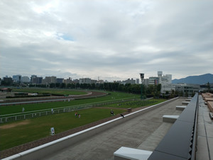IMG_20190810_090529