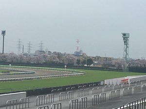 Ãæ»³£´¥³¡¼¥Ê¡¼