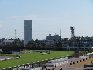 阪神4コーナー