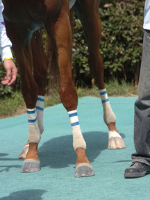 �ڥ������ե�å���-��